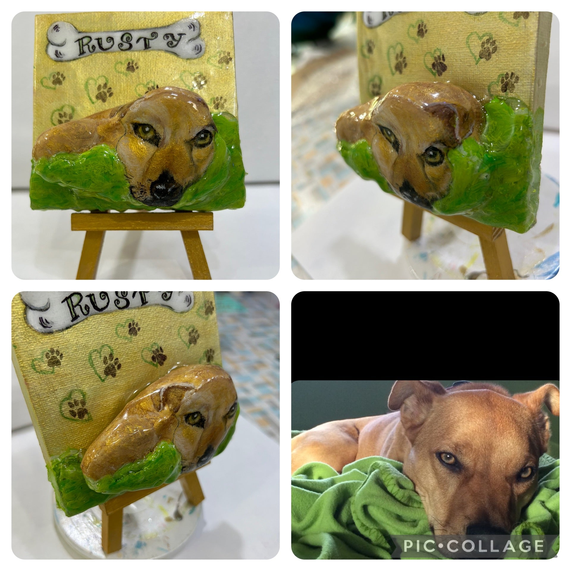 Pet Portrait Collection